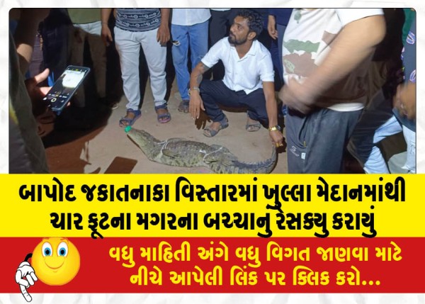 MailVadodara.com - A-four-foot-crocodile-cub-was-rescued-from-an-open-field-in-Bapod-Jakatnaka-area