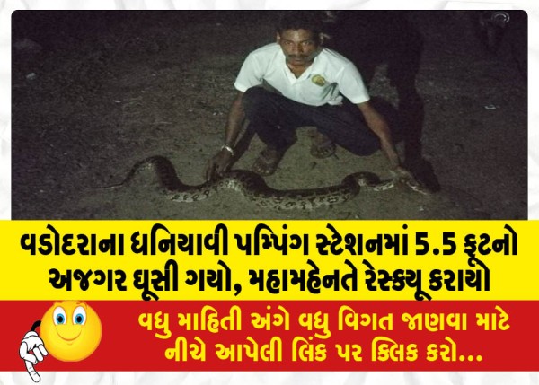 MailVadodara.com - 5-5-feet-python-entered-Dhianavi-pumping-station-in-Vadodara-rescued-by-His-Highness