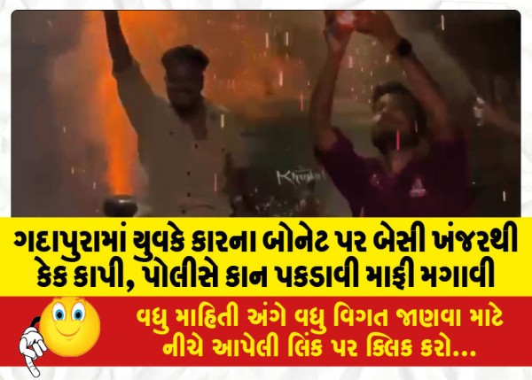 MailVadodara.com - Gadapura-the-young-man-sat-on-the-bonnet-of-the-car-and-cut-the-cake-with-a-dagger-the-police-caught-his-ear-and-apologized