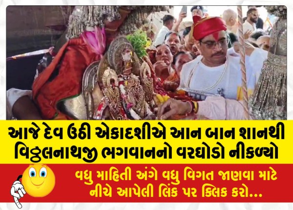 MailVadodara.com - Today-on-Dev-Ghuhi-Ekadashi-Vitthal-Nathji-the-groom-of-God-came-out-from-An-Ban-Shan