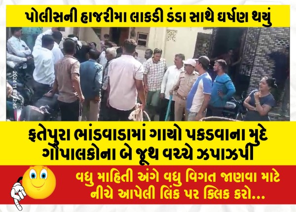 MailVadodara.com - Clash-between-two-groups-of-cowherds-over-capture-of-cows-in-Fatepura-Bhandwada