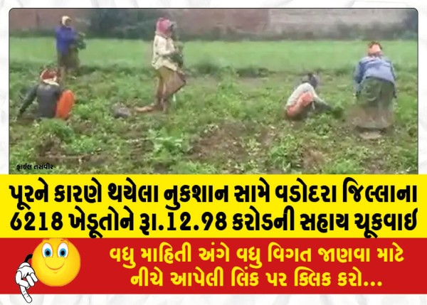 પૂરને કારણે થયેલા નુકશાન સામે વડોદરા જિલ્લાના 6218 ખેડૂતોને રૂા.12.98 કરોડની સહાય ચૂકવાઇ