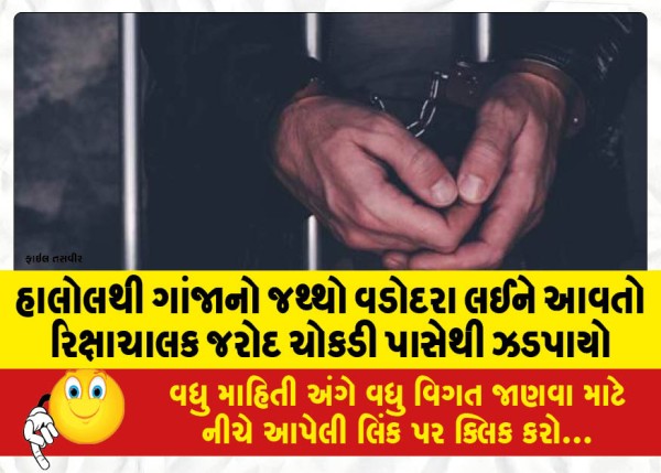 MailVadodara.com - Jarod-a-rickshaw-puller-who-was-bringing-a-quantity-of-ganja-from-Halol-to-Vadodara-was-caught-from-Chowkdi