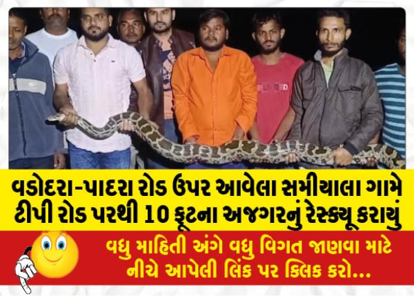 MailVadodara.com - A-10-foot-python-was-rescued-from-the-TP-road-at-Samiyala-village-on-the-Vadodara-Padra-road