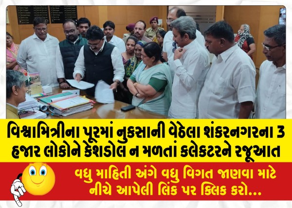 MailVadodara.com - 3000-people-of-Shankarnagar-affected-by-Vishwamitri-flood-have-not-received-cash-doll-presentation-to-the-collector