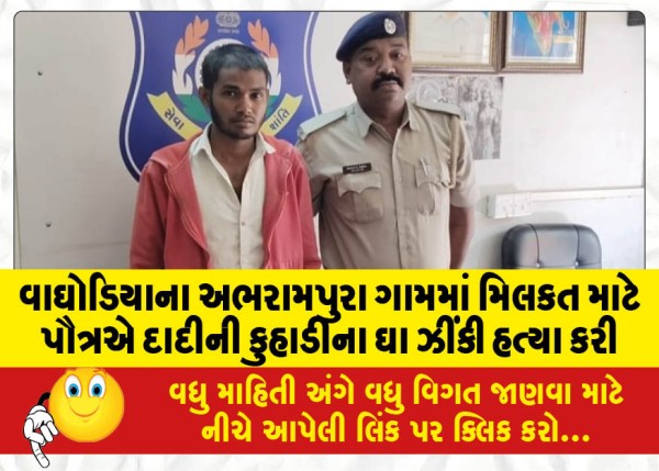 MailVadodara.com - Grandson-axed-grandmother-to-death-over-property-in-Waghodia-Abharampura-village