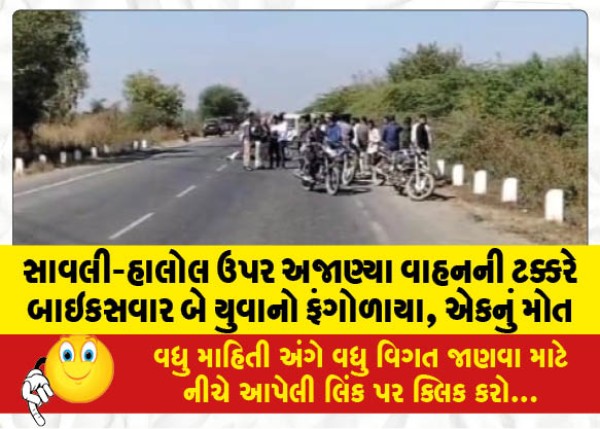 MailVadodara.com - Two-young-bikers-were-killed-after-being-hit-by-an-unknown-vehicle-on-Savli-Halol