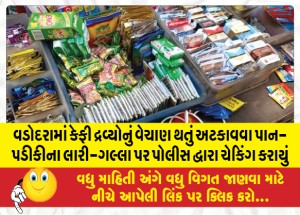 MailVadodara.com - In-Vadodara-the-police-checked-the-Lari-Galla-of-Pan-Padiki-to-prevent-the-sale-of-coffee-substances