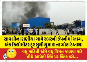 MailVadodara.com - A-fire-at-a-rubber-company-in-Raniya-village-of-Savli-saw-billows-of-smoke-up-to-a-kilometer-away