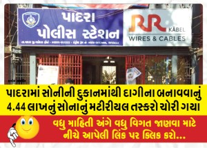 MailVadodara.com - 4-44-lakh-gold-material-for-making-jewelery-was-stolen-by-smugglers-from-a-gold-shop-in-Padra