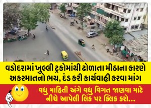 વડોદરામાં ખુલ્લી ટ્રકોમાંથી ઢોળાતા મીઠાના કારણે અકસ્માતનો ભય, દડ કરી કાર્યવાહી કરવા માંગ