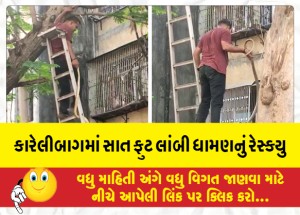 MailVadodara.com - Rescue-of-seven-feet-long-snake-in-Karelibagh