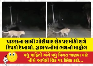 પાદરાના સાધી ગોરીયાદ રોડ પર મોડી રાત્રે દિપડો દેખાયો, ગ્રામજનોમાં ભયનો માહોલ