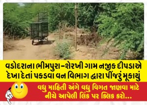 વડોદરાના ભીમપુરા-શેરખી ગામ નજીક દીપડાએ દેખા દેતાં પકડવા વન વિભાગ દ્વારા પીંજરું મૂકાયું