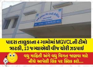 પાદરા તાલુકાના 4 ગામોમાં MGVCLની ટીમો ત્રાટકી, 13 જગ્યાએથી વીજ ચોરી ઝડપાઇ