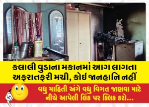 કલાલી વુડાના મકાનમાં આગ લાગતા અફરાતફરી મચી, કોઇ જાનહાનિ નહીં