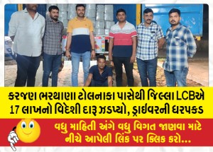 કરજણ ભરથાણા ટોલનાકા પાસેથી જિલ્લા LCBએ 17 લાખનો વિદેશી દારૂ ઝડપ્યો, ડ્રાઇવરની ધરપકડ