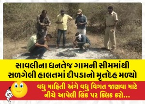 સાવલીના ધનતેજ ગામની સીમમાંથી સળગેલી હાલતમાં દીપડાનો મૃતદેહ મળ્યો