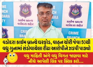 વડોદરા ક્રાઇમ બ્રાન્ચે ઘરફોડ, વાહન ચોરી જેવા 50થી વધુ ગુનામાં સંડોવાયેલા રીઢા આરોપીને ઝડપી પાડ્યો