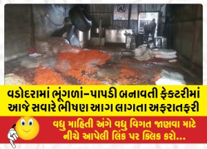 વડોદરામાં ભૂંગળાં-પાપડી બનાવતી ફેક્ટરીમાં આજે સવારે ભીષણ આગ લાગતા અફરાતફરી