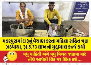 મકરપુરામાં દારૂનું વેચાણ કરતા મહિલા સહિત ત્રણ ઝડપાયા, રૂા.5.73 લાખનો મુદ્દામાલ કબ્જે કર્યો