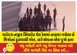 વડોદરા નજીક સિંધરોટ ચેક ડેમમાં નાહવા ગયેલા બે મિત્રોનાં ડૂબવાથી મોત, બન્ને એકના એક પુત્રો હતા