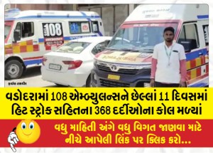 વડોદરા શહેરમાંથી 108 એમ્બ્યુલન્સને છેલ્લાં 11 દિવસમાં હિટ સ્ટ્રોક સહિતના 368 દર્દીઓના કોલ