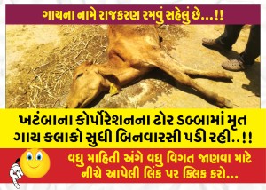 ખટંબાના કોર્પોરેશનના ઢોર ડબ્બામાં મૃત ગાય કલાકો સુધી બિનવારસી હાલતમાં પડી રહી..!!