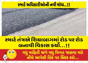 સ્માર્ટ અધિકારીઓની નવી શોધ..!!