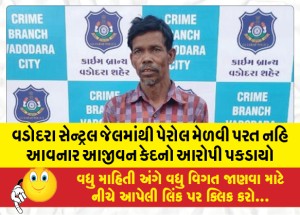 MailVadodara.com - A-life-sentence-accused-who-will-not-return-after-obtaining-parole-from-Vadodara-Central-Jail-was-caught