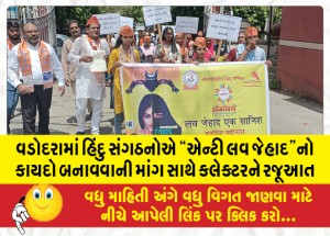 MailVadodara.com - Hindu-organizations-in-Vadodara-presented-to-the-collector-with-a-demand-to-enact-anti-love-jihad-law