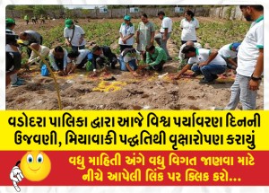 MailVadodara.com - Vadodara-Municipality-today-celebrated-World-Environment-Day-by-planting-trees-using-Miyawaki-method