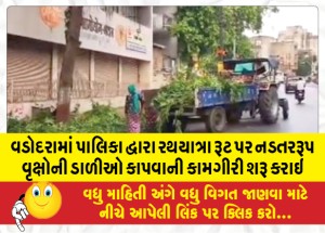 MailVadodara.com - In-Vadodara-the-municipality-has-started-cutting-branches-of-trees-on-the-Rath-Yatra-route