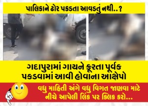 ગદાપુરામાં ગાયને ક્રૂરતા પૂર્વક પકડવામાં આવી હોવાના આક્ષેપો