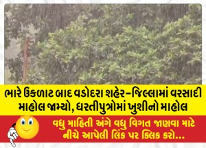 ભારે ઉકળાટ બાદ વડોદરા શહેર-જિલ્લામાં વરસાદી માહોલ જામ્યો, ધરતીપુત્રોમાં ખુશીનો માહોલ