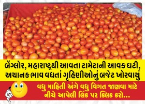 બેંગ્લોર, મહારાષ્ટ્રથી આવતા ટામેટાની આવક ઘટી, અચાનક ભાવ વધતાં ગૃહિણીઓનું બજેટ ખોરવાયું