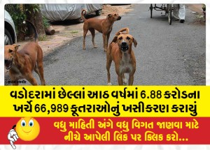 વડોદરામાં છેલ્લાં આઠ વર્ષમાં 6.88 કરોડના ખર્ચે 66,989 કૂતરાઓનું ખસીકરણ કરાયું