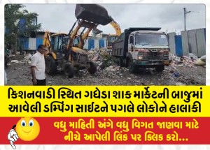 MailVadodara.com - Due-to-the-dumping-site-adjacent-to-Gadheda-vegetable-market-in-Kishanwadi-people-are-suffering