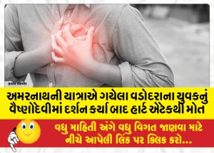 અમરનાથની યાત્રાએ ગયેલા વડોદરાના યુવકનું વૈષ્ણોદેવીમાં દર્શન કર્યા બાદ હાર્ટ એટેકથી મોત