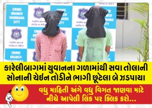 કારેલીબાગમાં યુવાનના ગળામાંથી સવા તોલાની સોનાની ચેઇન તોડીને ભાગી છૂટેલા બે ઝડપાયા