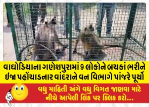 MailVadodara.com - The-forest-department-caged-the-monkey-that-injured-9-people-in-Ganeshpura-Waghodia