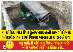 વાઘોડિયા રોડ ઉપર ડ્રેનેજ લાઇનની કામગીરી માટે ખોદાયેલા ખાડામાં રિક્સા ખાબકતા ચાલકને ઇજા