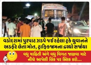 વડોદરામાં પુરપાટ ઝડપે જઈ રહેલા ટ્રકે યુવાનને અડફેટે લેતા મોત, ટ્રાફિકજામના દ્રશ્યો સર્જાયા