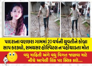 પાદરાના વણછરા ગામમાં 20 વર્ષની યુવતીને કોબ્રા સાપ કરડ્યો, સમયસર હોસ્પિટલ ન પહોંચાડતા મોત