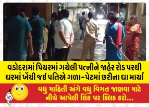 MailVadodara.com - In-Vadodara-the-wife-who-had-gone-to-the-pier-was-dragged-home-from-the-public-road-and-the-husband-stabbed-her-in-the-neck-and-abdomen