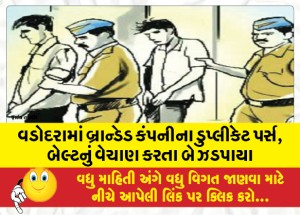 MailVadodara.com - Two-caught-selling-duplicate-wallets-belts-of-branded-company-in-Vadodara-worth-more-than-Rs-84-thousand-seized