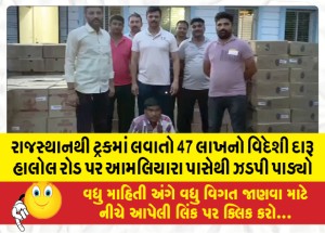 MailVadodara.com - Foreign-liquor-worth-47-lakhs-being-brought-in-a-truck-from-Rajasthan-was-seized-from-Amliara-on-Halol-Road