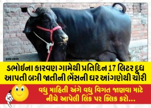 ડભોઇના કારવણ ગામેથી પ્રતિદિન 17 લિટર દૂધ આપતી બન્ની જાતીની ભેંસની ઘર આંગણેથી ચોરી