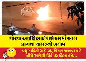 ગોરવા આઈટીઆઈ પાસે કારમાં આગ લાગતા ચાલકનો બચાવ