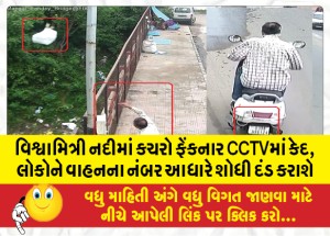 વિશ્વામિત્રી નદીમાં કચરો ફેંકનાર CCTVમાં કેદ, લોકોને વાહનના નંબર આધારે શોધી દંડ કરાશે